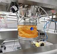 BFM fitting cheese powder-1
