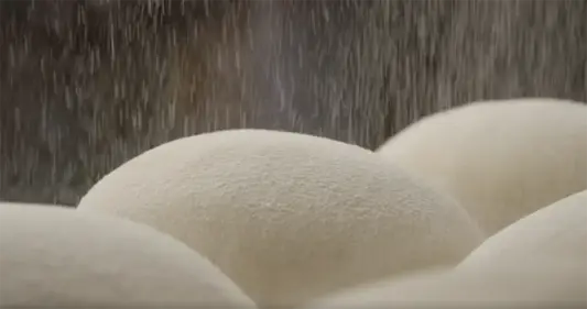 Flour dust in commerial bakery