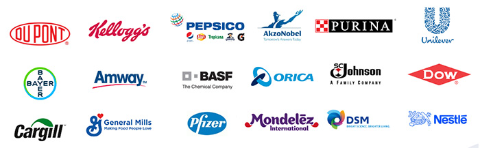 Companies using BFM 700 x 217