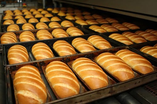 Freshly baked bread loaves in factory