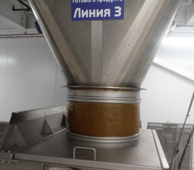 Infeed to sifter processing dry pet food
