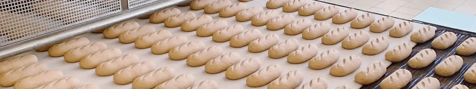 Industries-food-bakery-1600x300px (1)